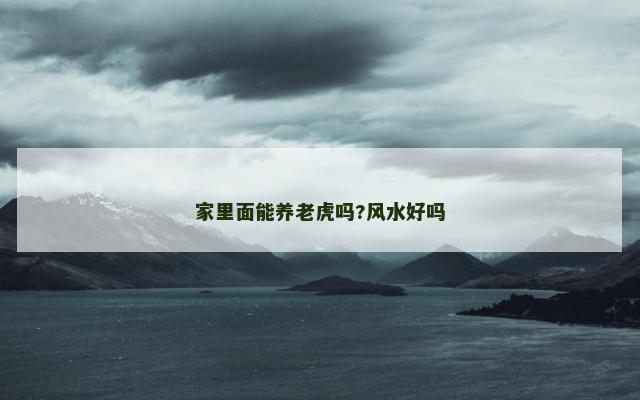 家里面能养老虎吗?风水好吗