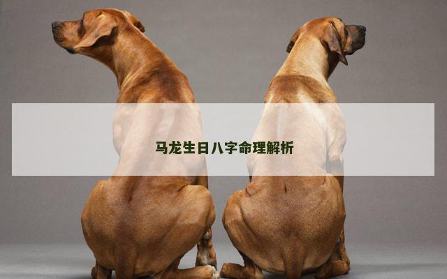 马龙生日八字命理解析