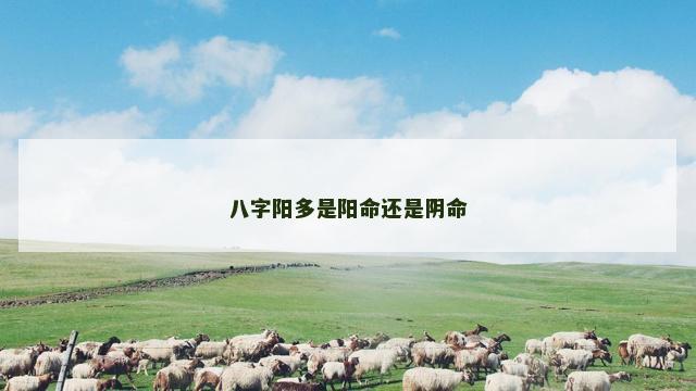八字阳多是阳命还是阴命
