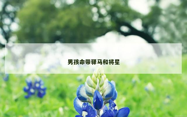 男孩命带驿马和将星