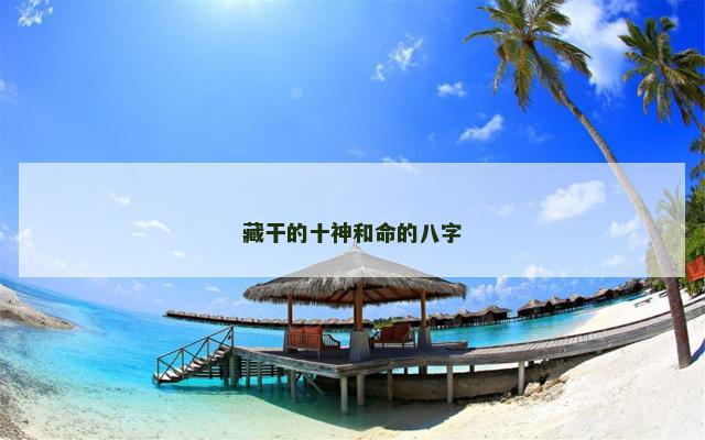 藏干的十神和命的八字
