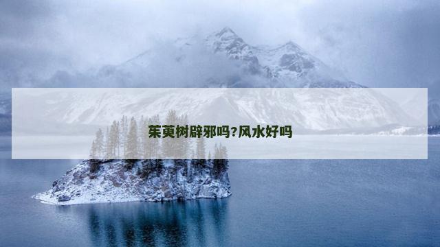 茱萸树辟邪吗?风水好吗