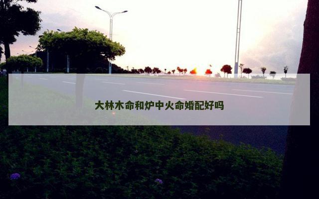 大林木命和炉中火命婚配好吗