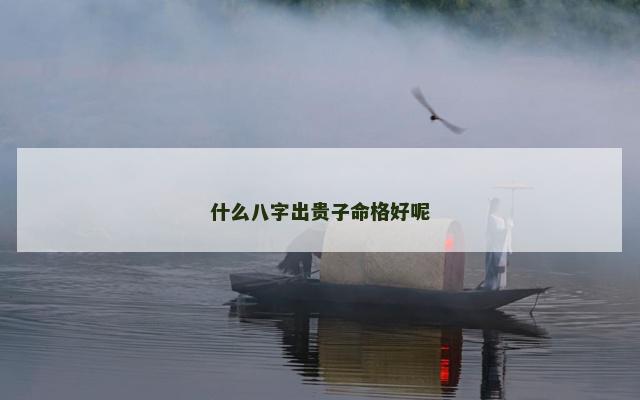 什么八字出贵子命格好呢