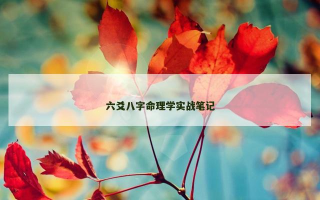六爻八字命理学实战笔记