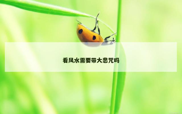 看风水需要带大悲咒吗