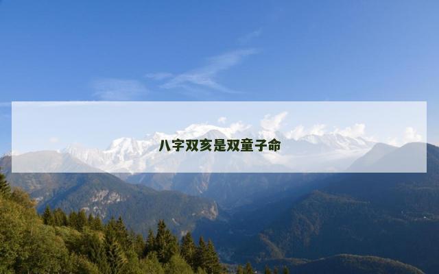 八字双亥是双童子命