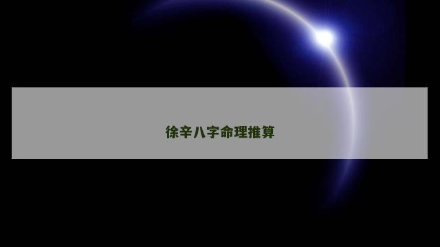 徐辛八字命理推算