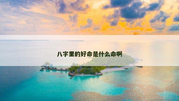 八字里的好命是什么命啊