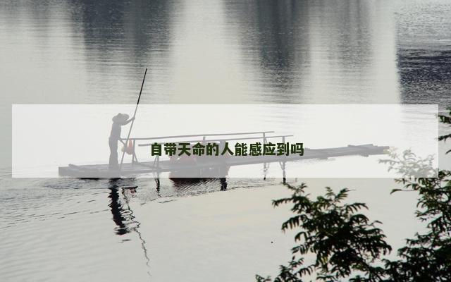 自带天命的人能感应到吗