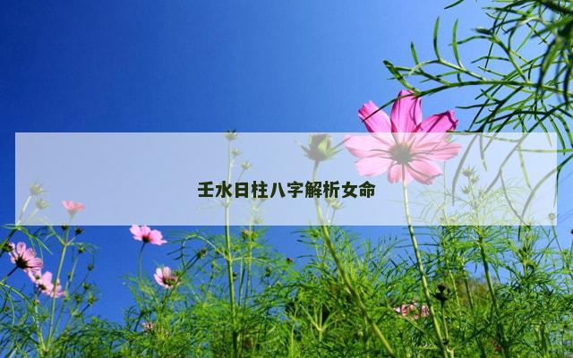 壬水日柱八字解析女命