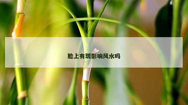 脸上有斑影响风水吗