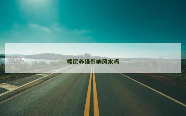 楼房养猫影响风水吗