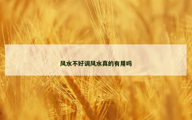 风水不好调风水真的有用吗