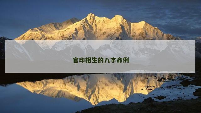 官印相生的八字命例