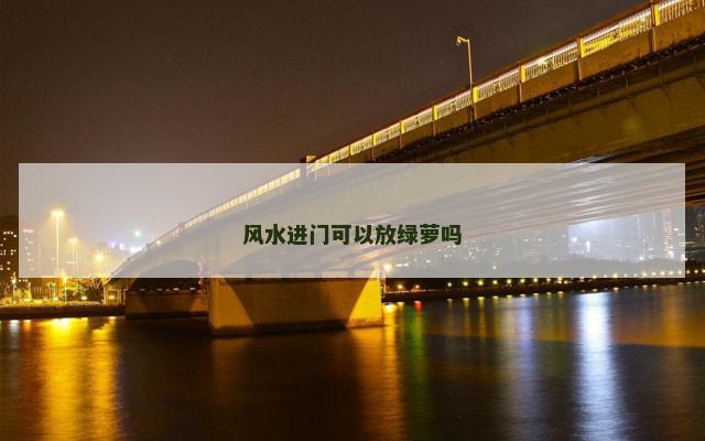 风水进门可以放绿萝吗