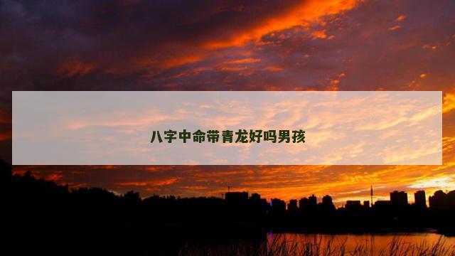 八字中命带青龙好吗男孩