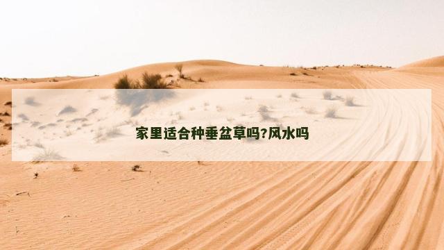 家里适合种垂盆草吗?风水吗