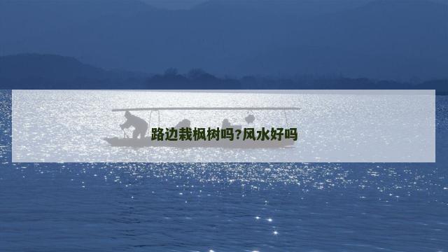 路边栽枫树吗?风水好吗