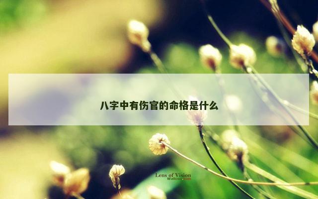 八字中有伤官的命格是什么
