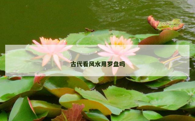 古代看风水用罗盘吗