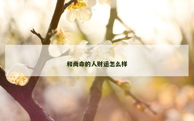和尚命的人财运怎么样