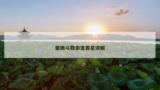 紫微斗数命宫各星详解