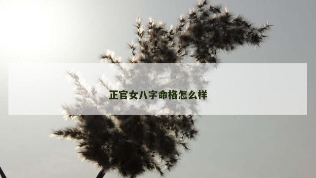 正官女八字命格怎么样