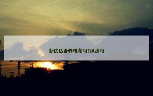 新房适合养桂花吗?风水吗