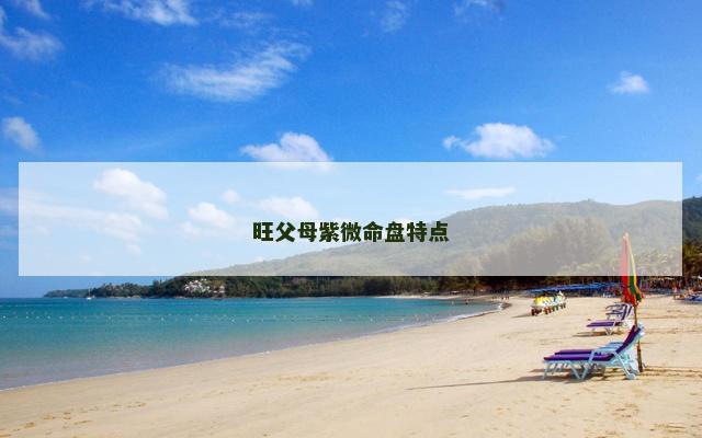 旺父母紫微命盘特点