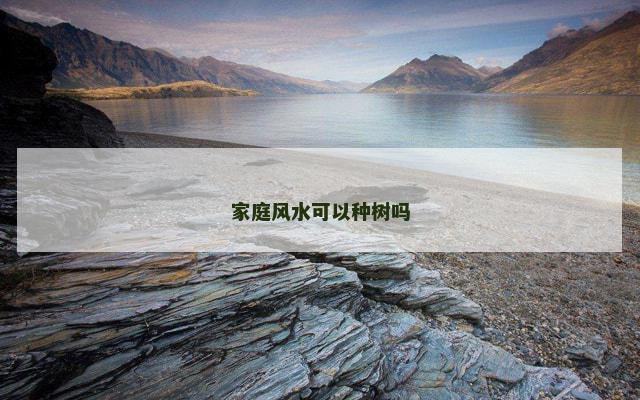 家庭风水可以种树吗