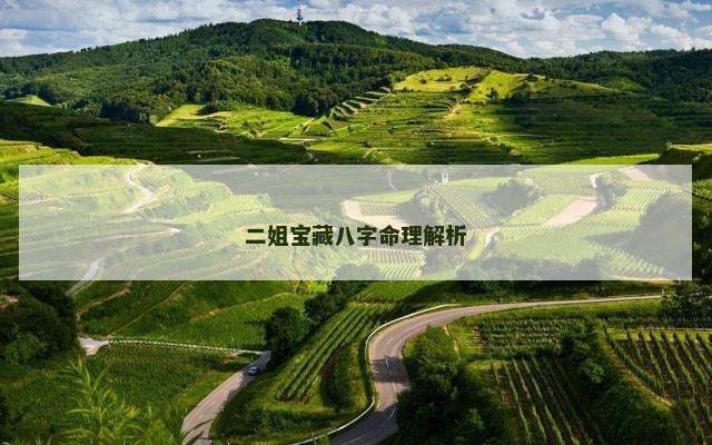 二姐宝藏八字命理解析