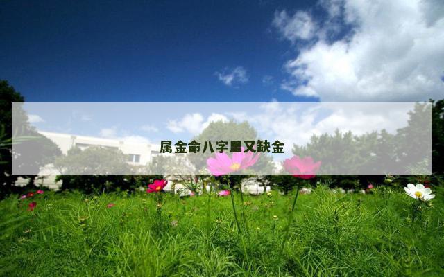 属金命八字里又缺金