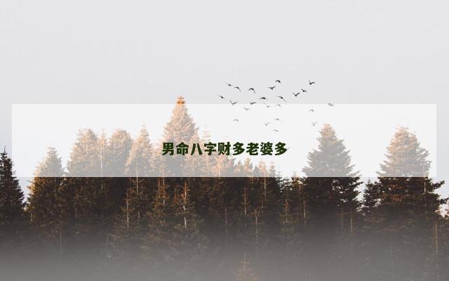 男命八字财多老婆多
