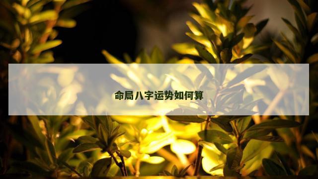 命局八字运势如何算