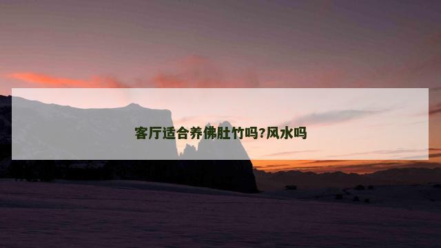 客厅适合养佛肚竹吗?风水吗