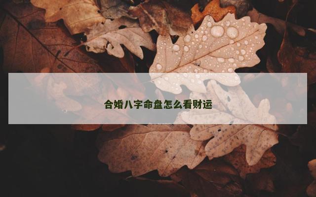 合婚八字命盘怎么看财运
