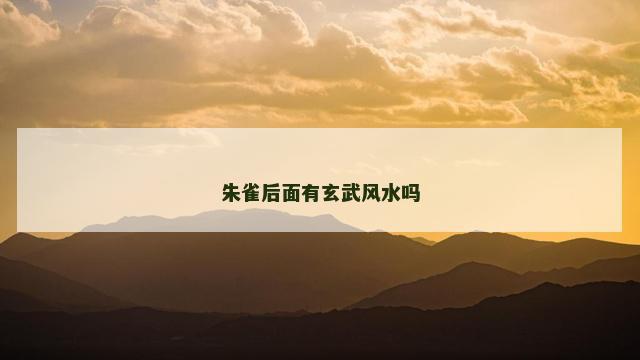 朱雀后面有玄武风水吗