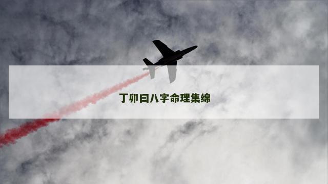 丁卯曰八字命理集绵