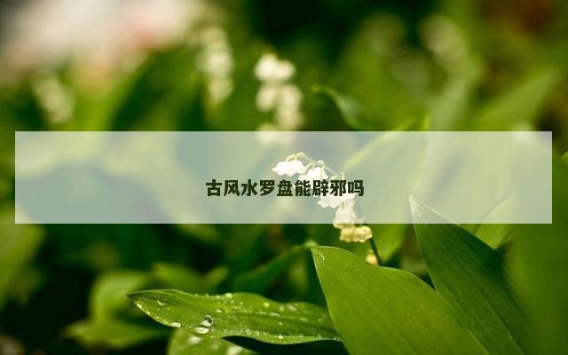 古风水罗盘能辟邪吗