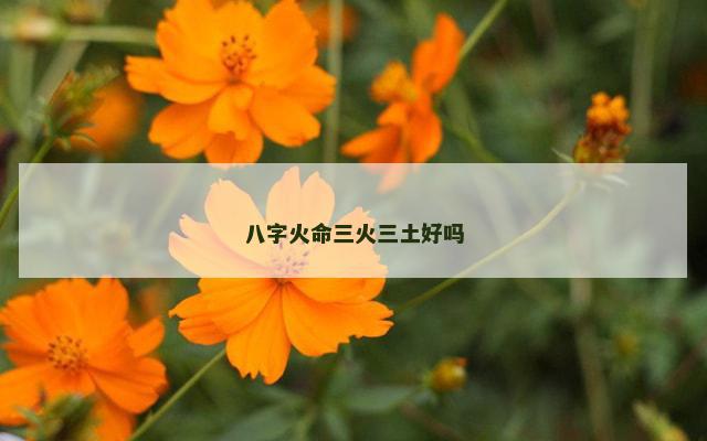 八字火命三火三土好吗