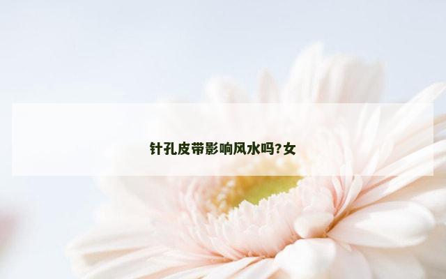 针孔皮带影响风水吗?女
