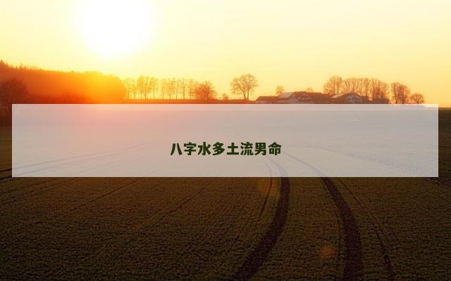 八字水多土流男命