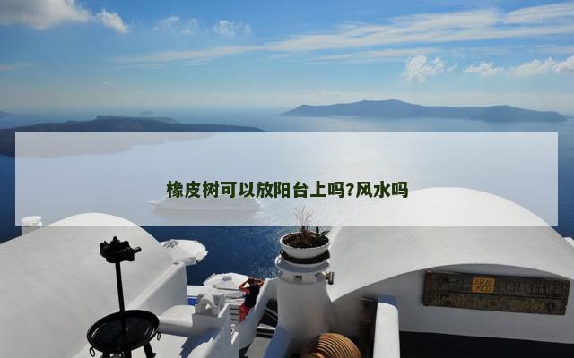 橡皮树可以放阳台上吗?风水吗