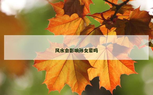风水会影响孙女辈吗