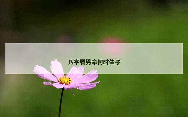 八字看男命何时生子