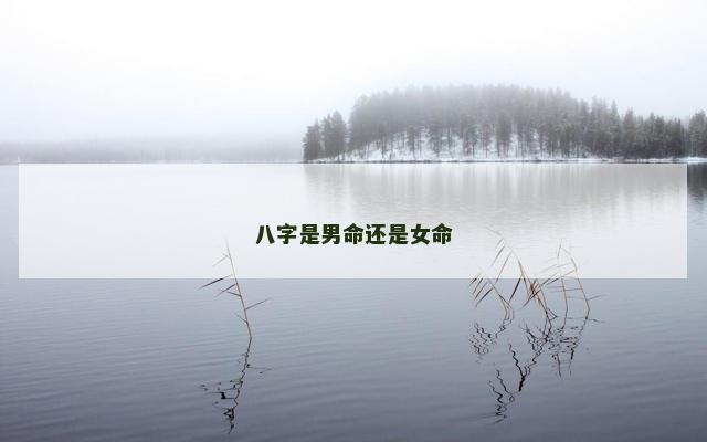 八字是男命还是女命