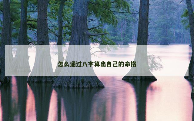 怎么通过八字算出自己的命格
