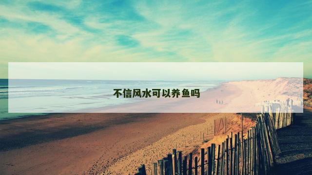 不信风水可以养鱼吗