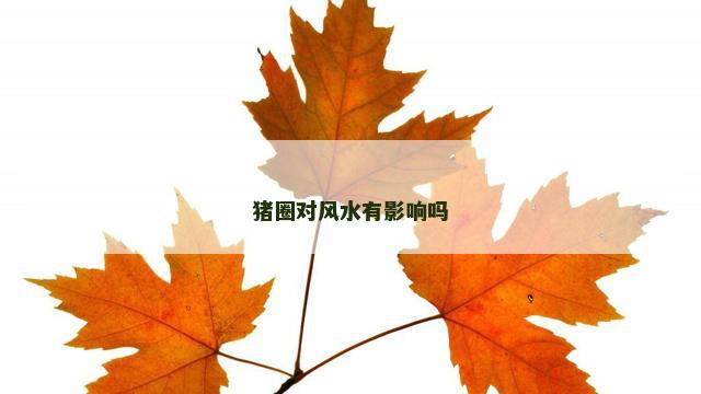 猪圈对风水有影响吗